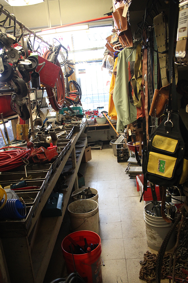 This Could Be A Garden