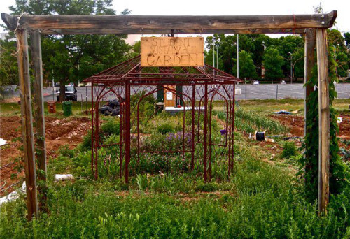Image showcasing This Could Be A Garden